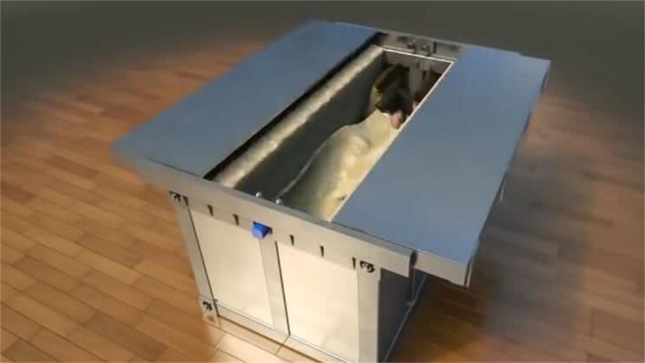 中国退休大爷发明地震救生床:地震了照样睡,还申请了国家专利