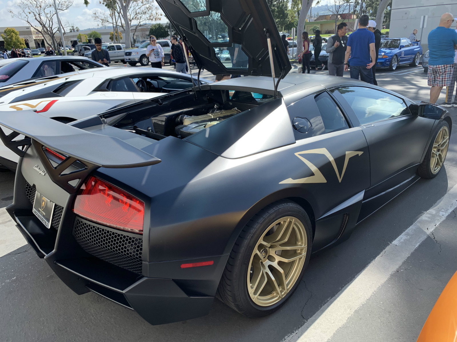 开着750万的lp770svj撒狗粮北美萝卜