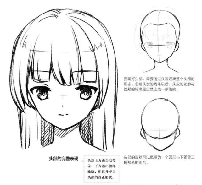动漫人物头部怎么画教你如何正确绘制头部的技巧
