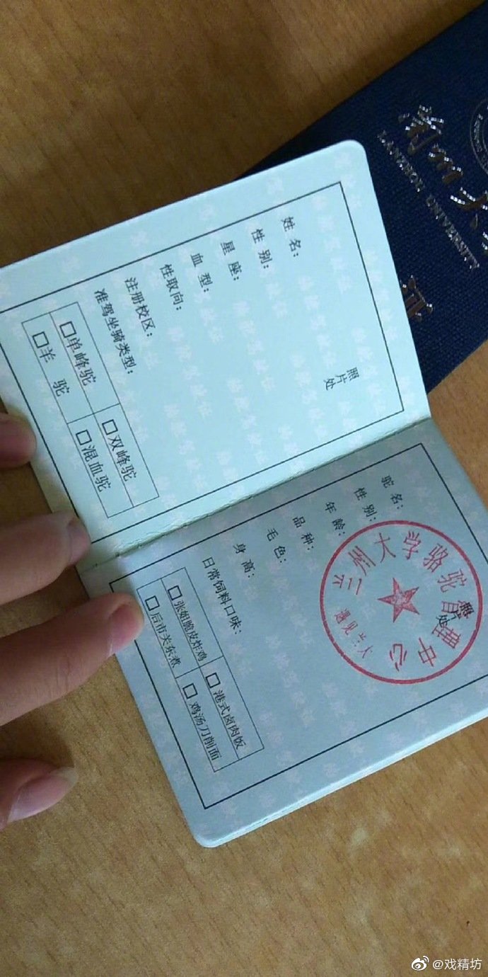 哈哈哈哈哈哈哈哈哈哈哈哈哈哈哈哈哈哈哈哈骆驼驾驶证