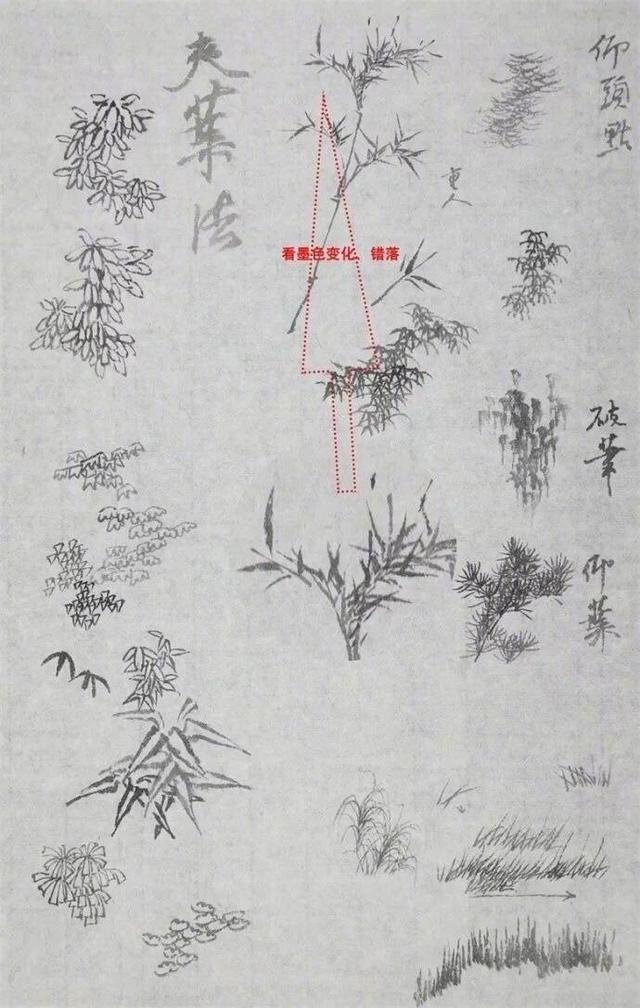 「中国画」传统国画 · 基础教程