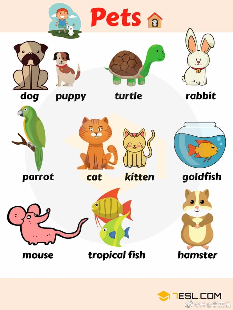 Animal Names: Types of Animals with List & Pictures
