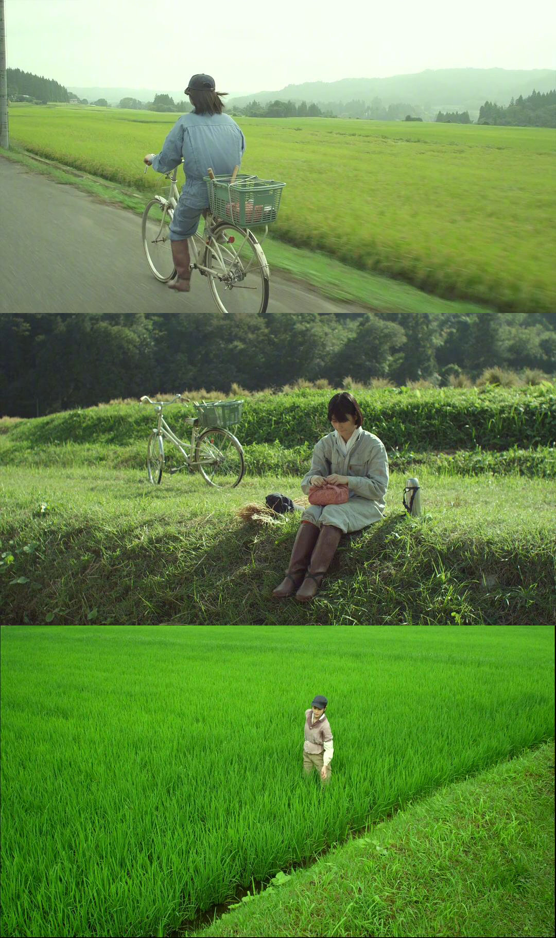 电影小森林夏秋篇每一帧美得像壁纸