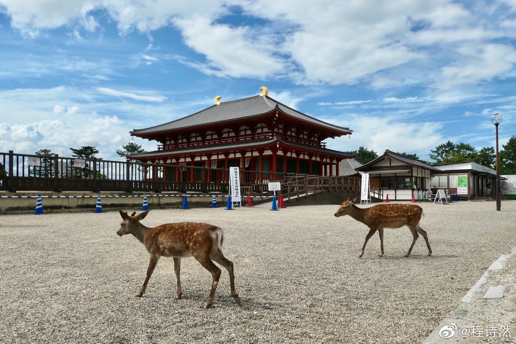 日本奈良兴福寺