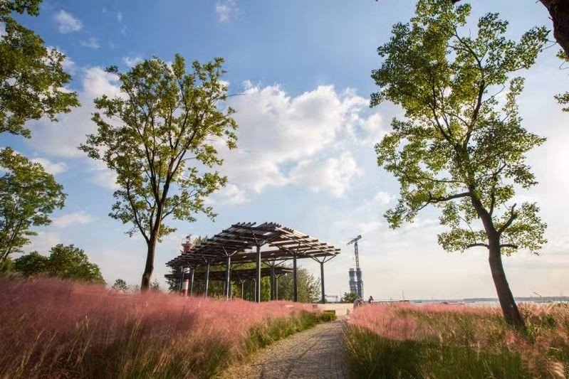 新加坡·南京生态科技岛,是南京市民熟知的江心洲,它紧靠南京主城