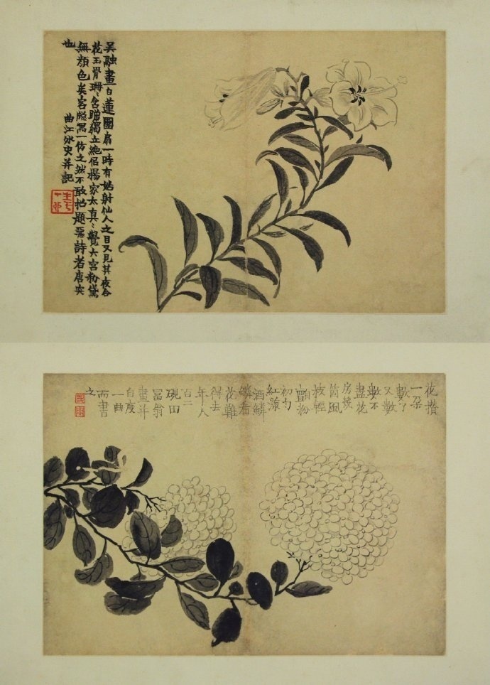 金农《花卉图册》12开