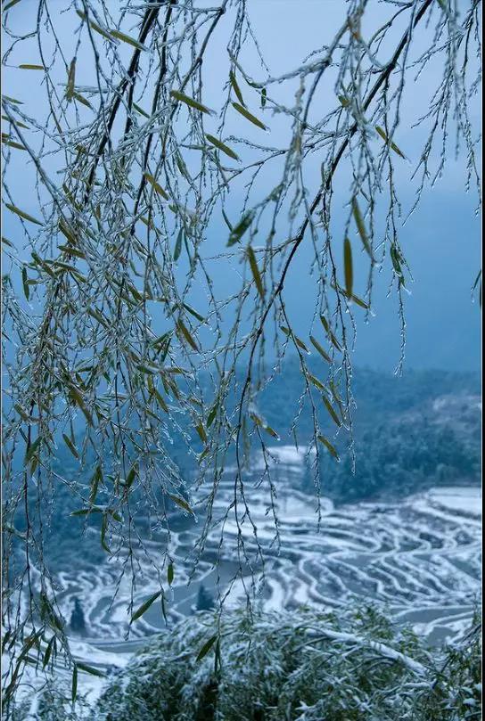 浙江超美雪景!这个初冬没见到雪的,快来这些地方养养眼!