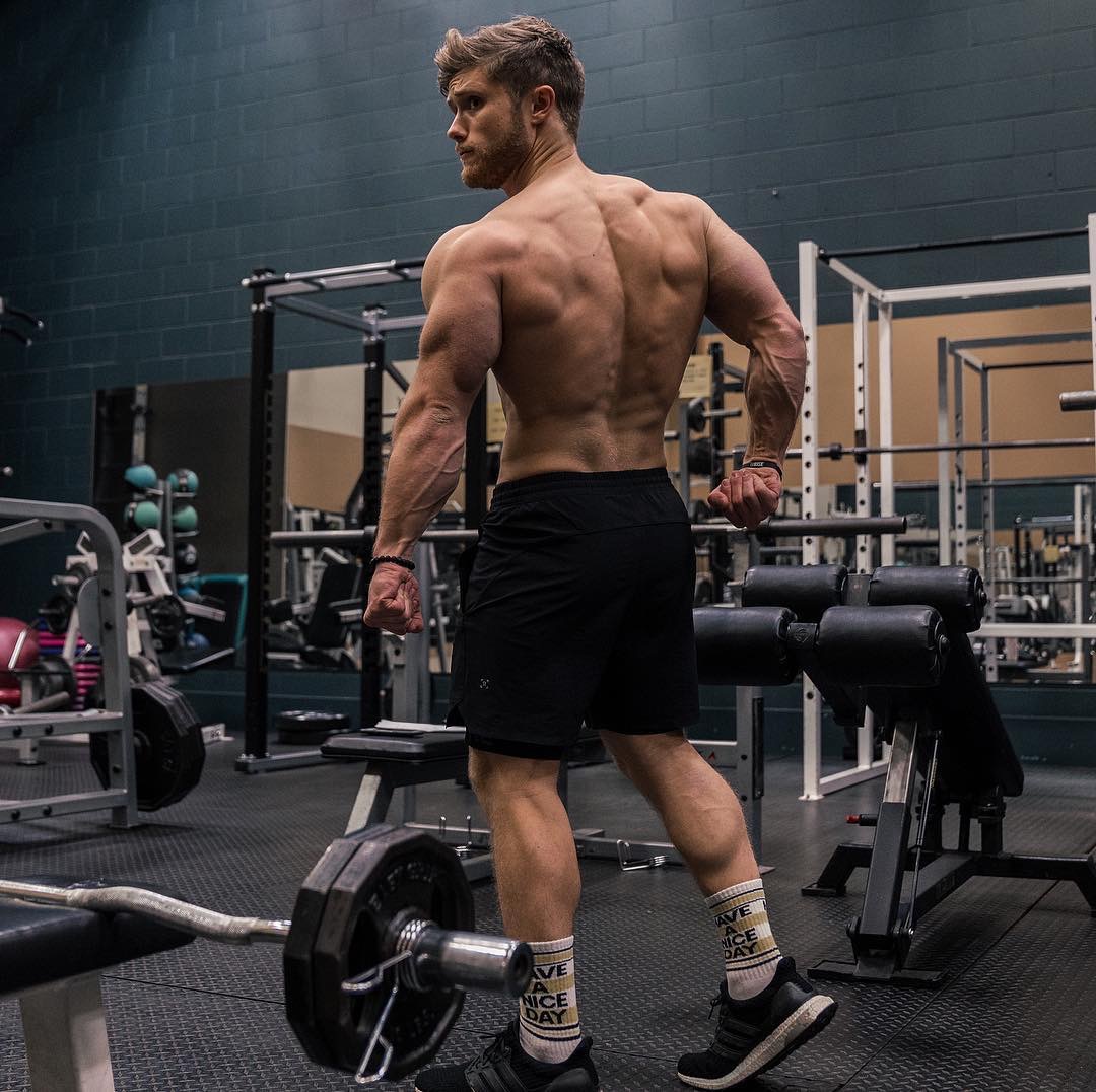 Traps Jeff Nippard at Bernice Baum blog