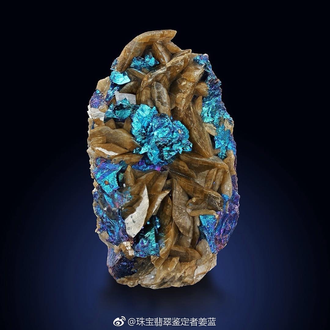 美丽的矿标们,你能认出几个?