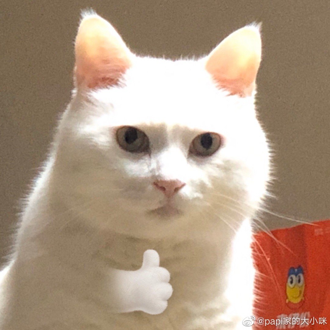 这个图是 大咪小咪觉得很赞