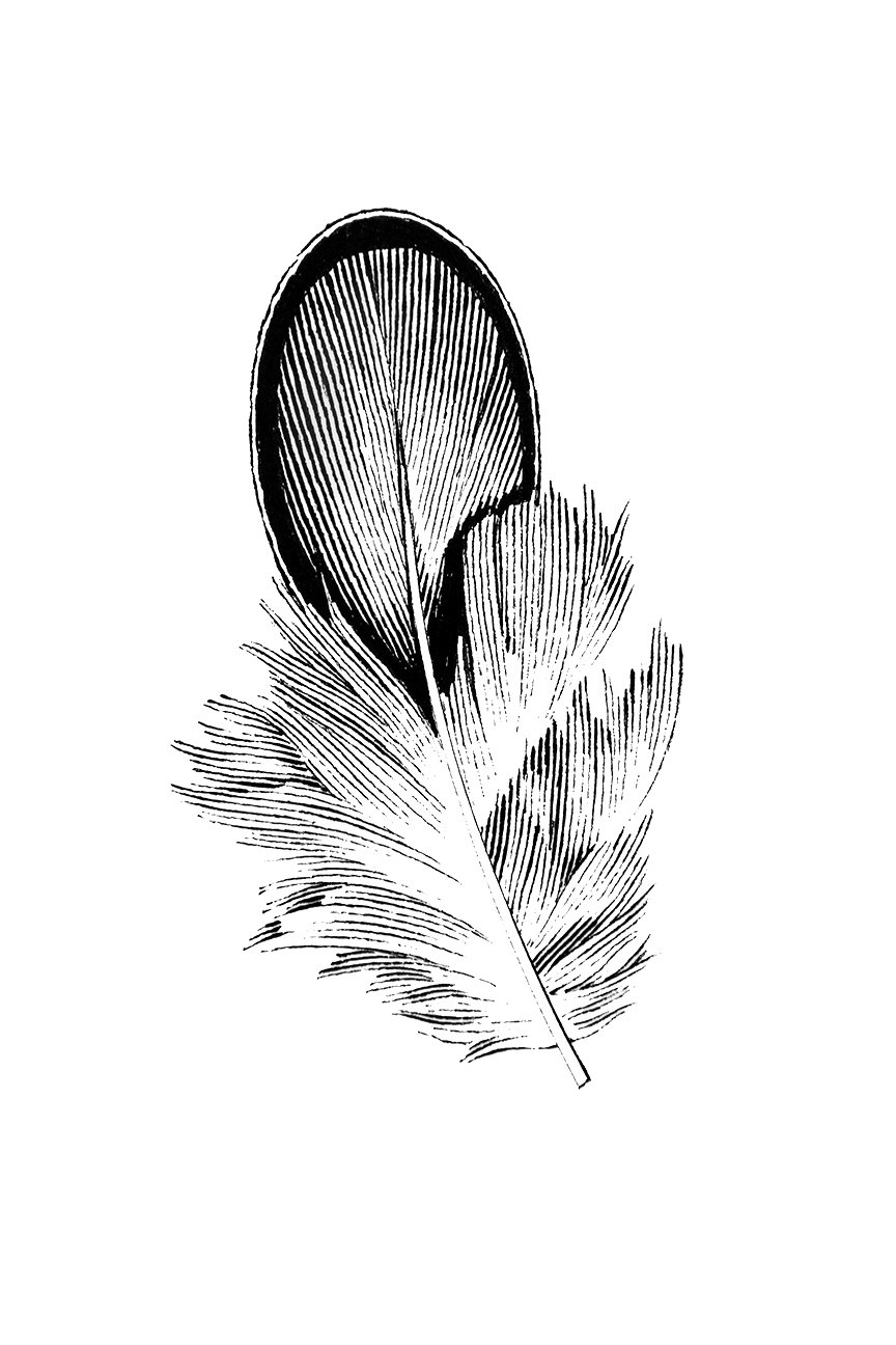 插画 钢笔画|钢笔画|插画_新浪新闻