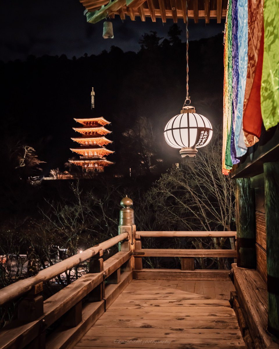 夜晚的长谷寺,姫路护国神社和春日大社