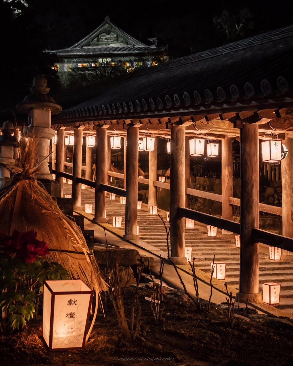 夜晚的长谷寺,姫路护国神社和春日大社