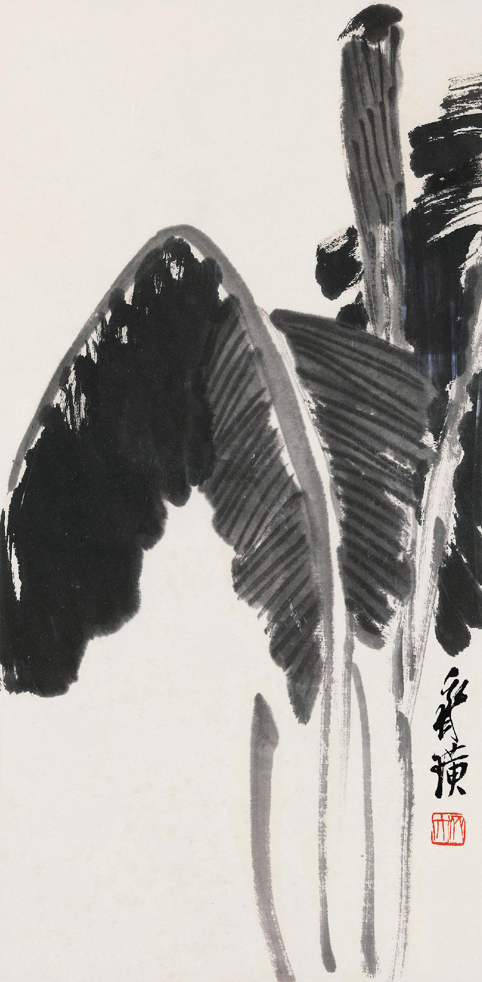 心静闲看物亦静芭蕉过雨绿生凉齐白石