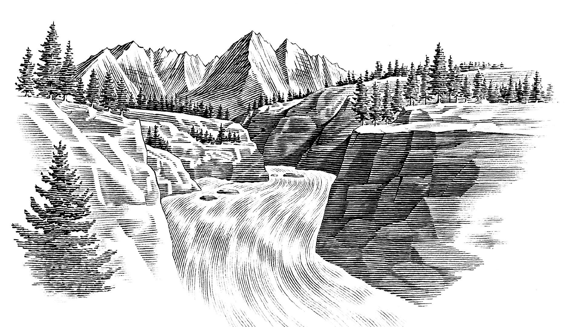 插画 钢笔画|钢笔画|插画_新浪新闻
