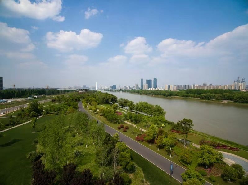 新加坡·南京生态科技岛,是南京市民熟知的江心洲,它紧靠南京主城