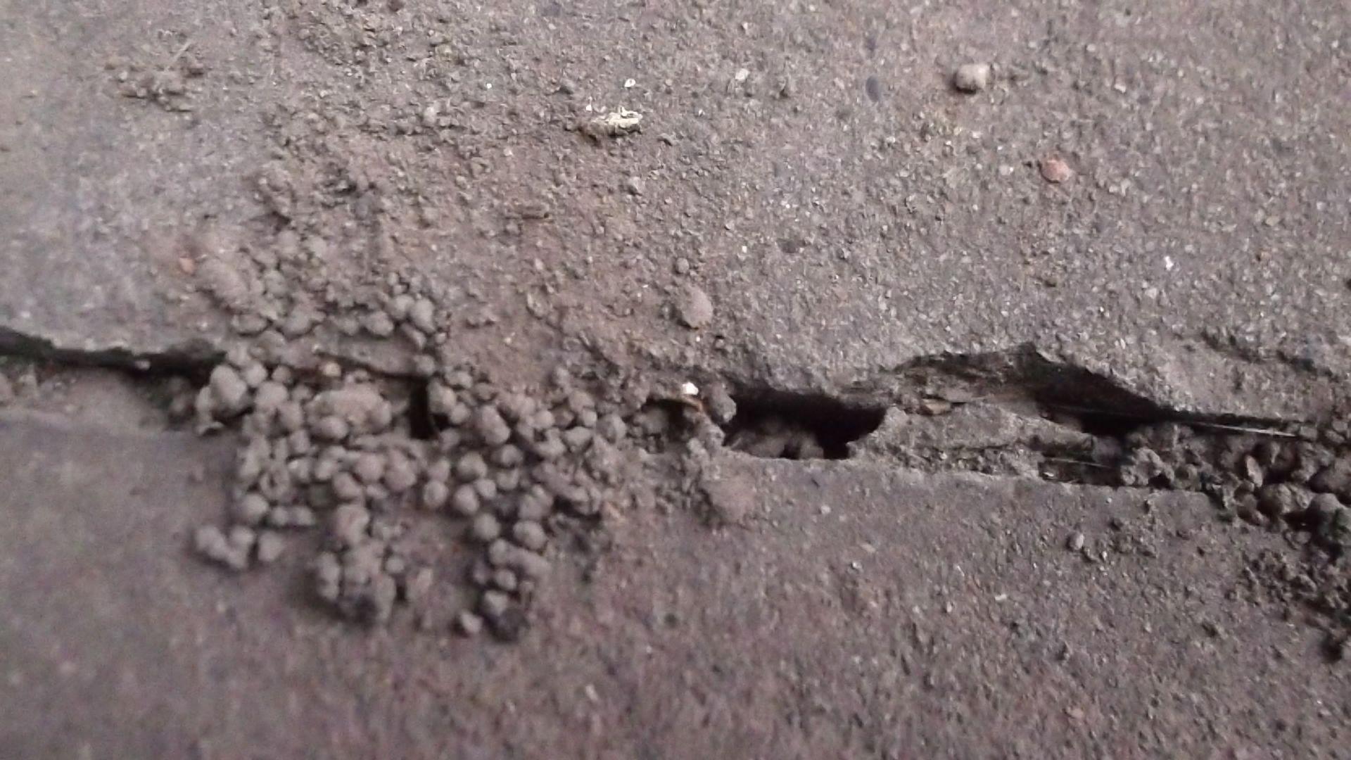 蚯蚓的粪便是天然的肥料比普通的肥料营养但收集比较困难