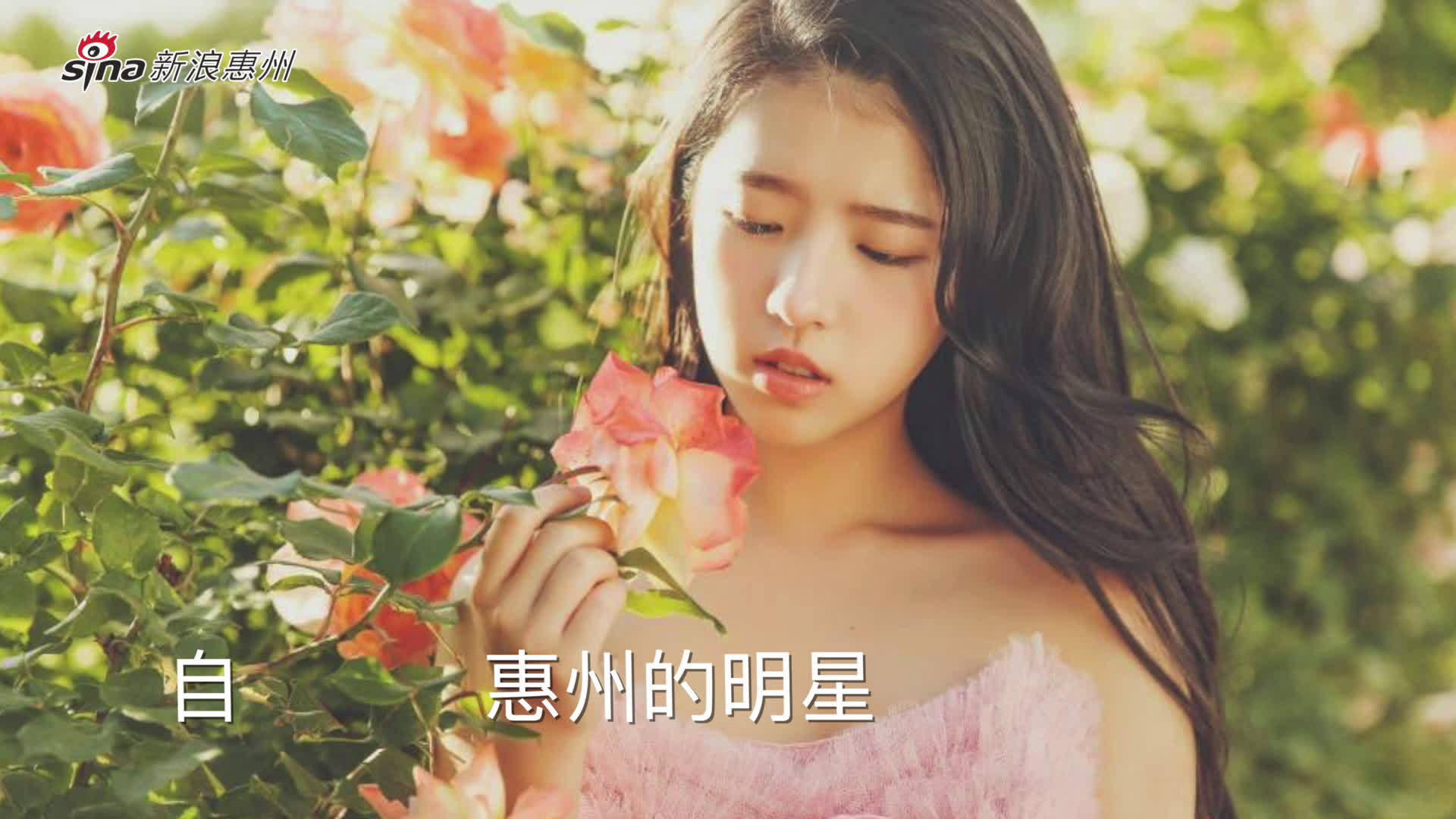 视频| 原来这几位明星来自惠州!你知道吗