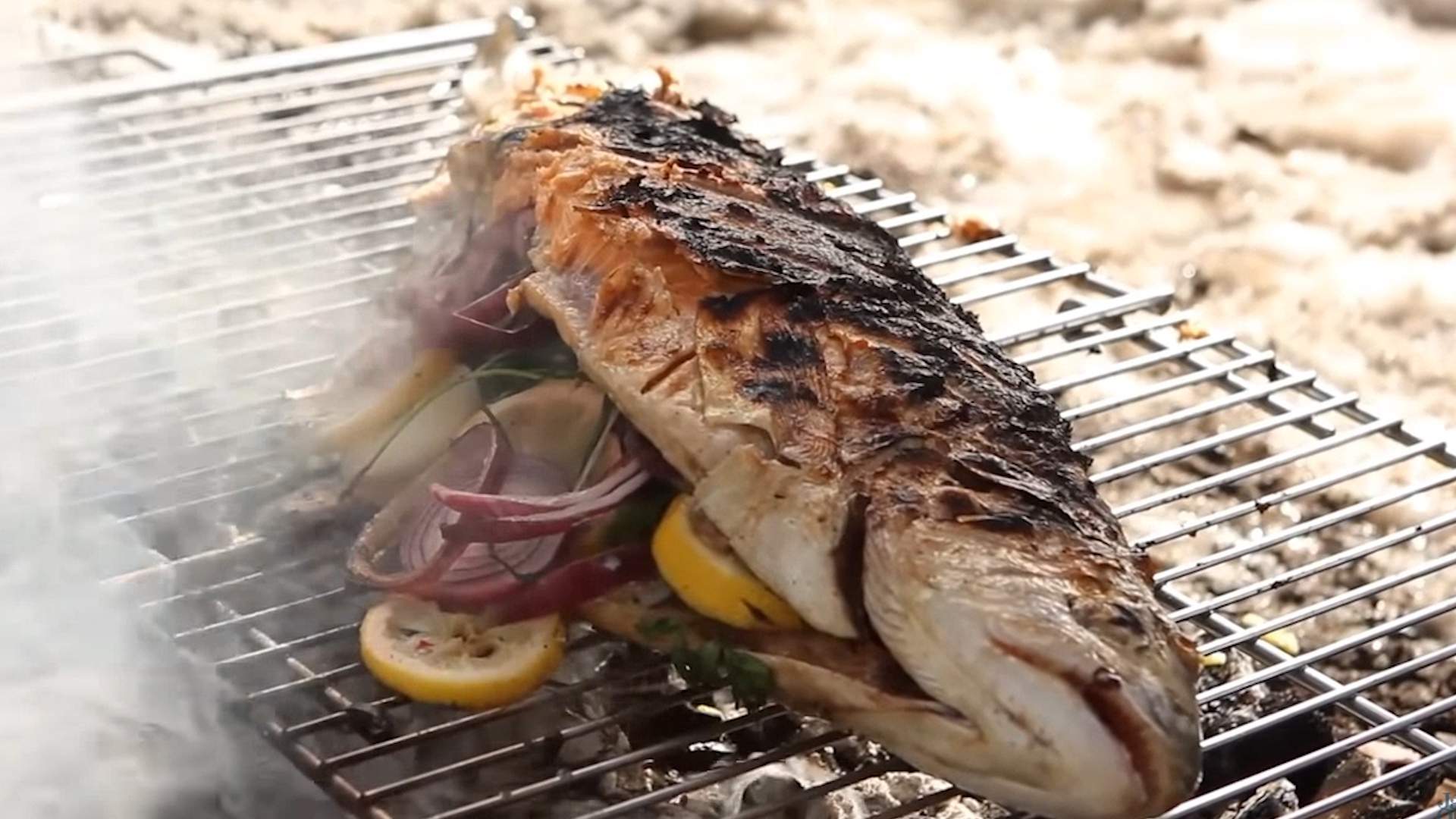 俄罗斯小哥爱吃烤鱼接电线插220v电源上仿佛是看到我触电