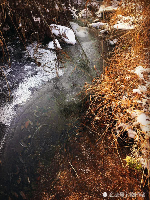 小溪溝路上的雪不多,陰面溝裡的積雪很厚.