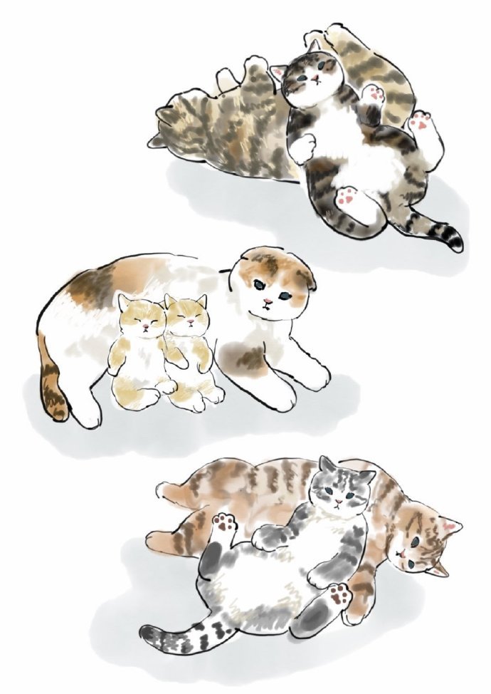 画师mofu_sand笔下的小猫咪~~真的是太软糯啦