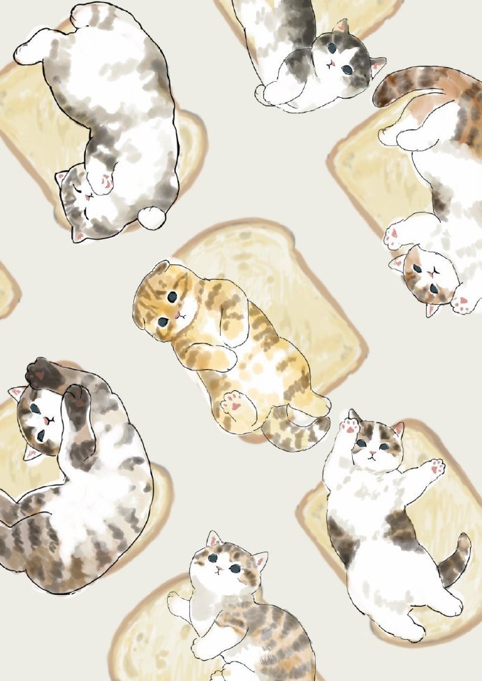 画师mofu_sand笔下的小猫咪~~真的是太软糯啦