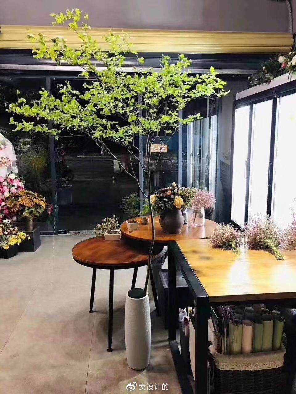 日本吊钟，植物中的爱马仕！用一枝吊钟给你一片诗意！