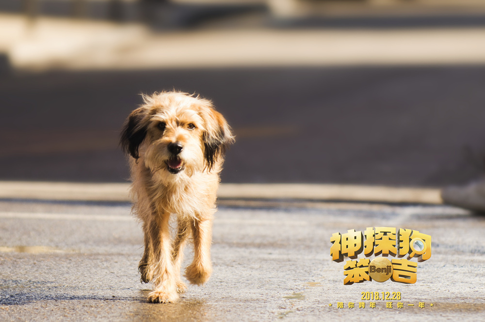 《神探狗笨吉》12.28上映 神奇灵犬"解锁"今冬最强暖流