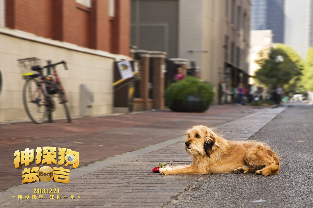 《神探狗笨吉》12.28上映 神奇灵犬"解锁"今冬最强暖流