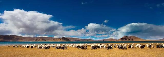 16年前,我忍着泪水看完这部电影,今天,我忍着