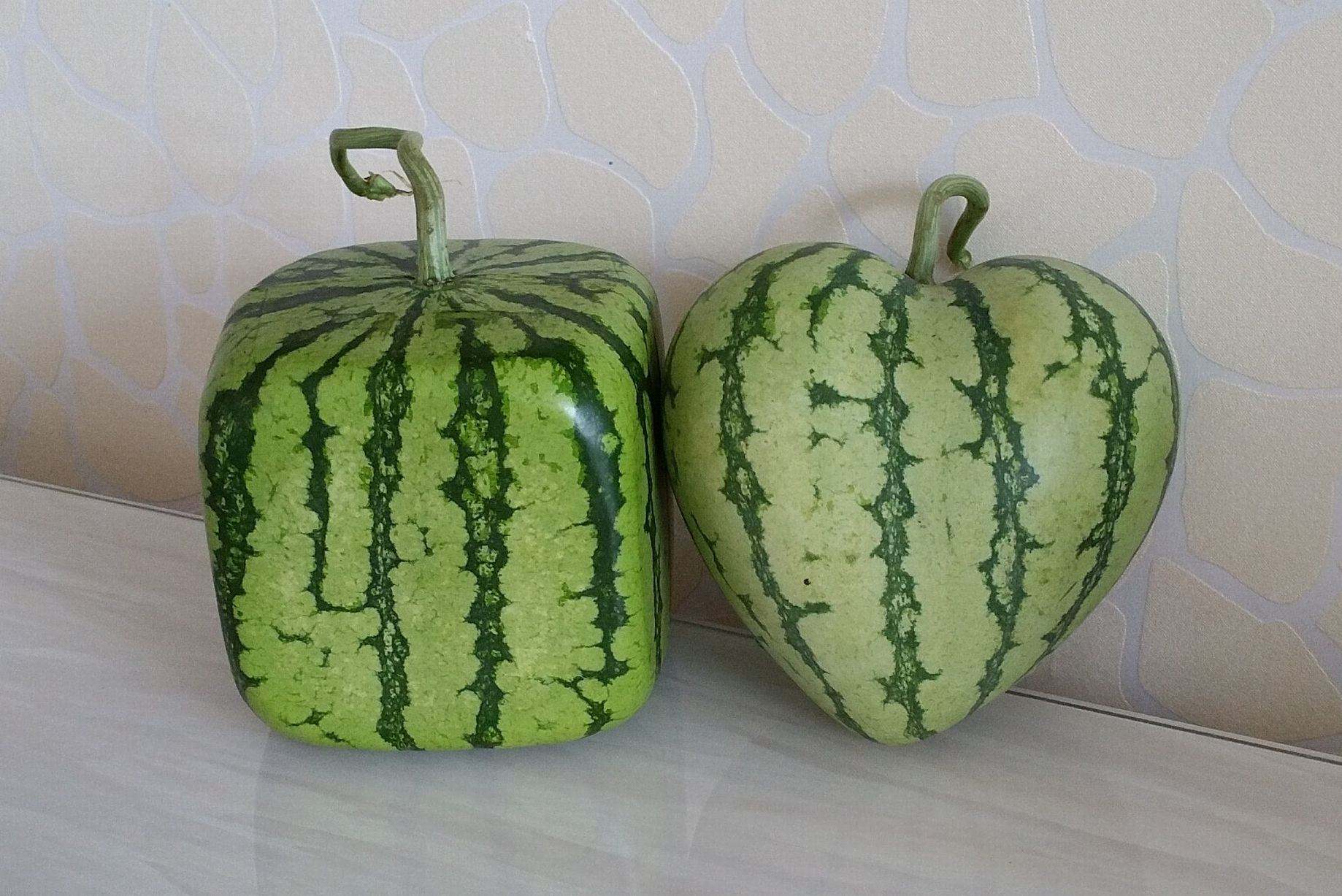 方形西瓜其实并不好吃,价格却很贵,凭什么?