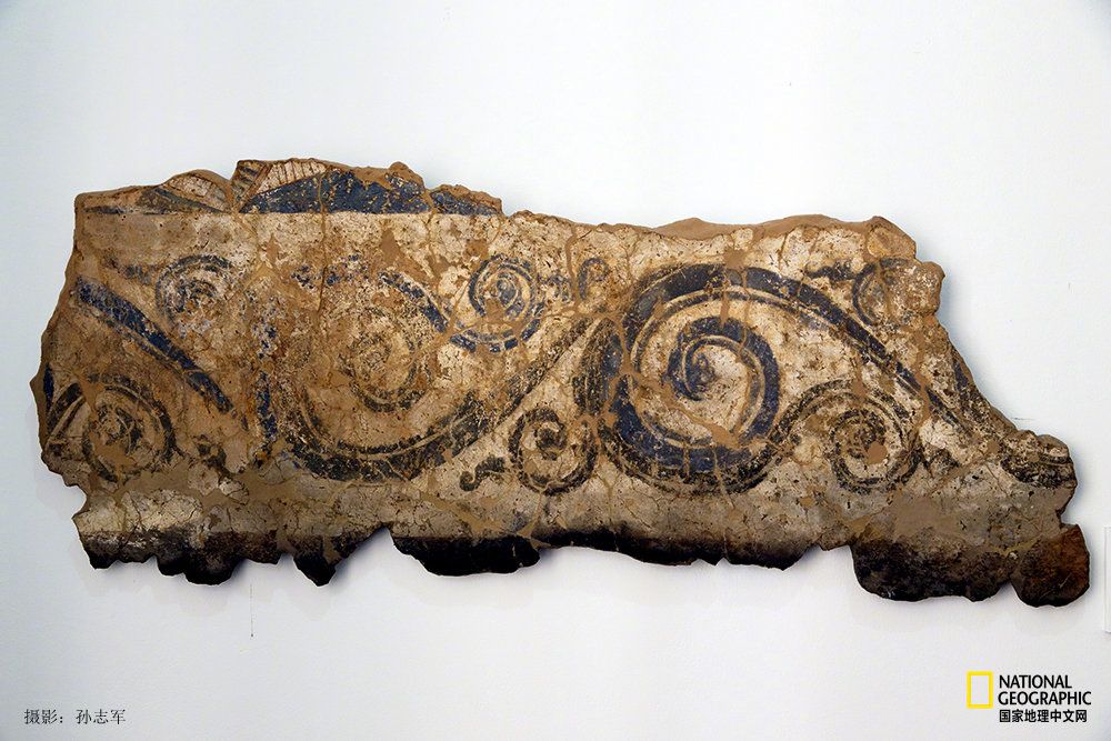 卷草纹因具有花叶枝茎呈卷曲状的纹样形象而得名