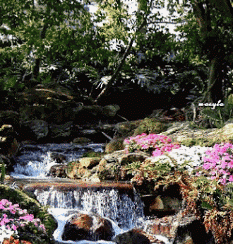 最美的山水风景动态图人间天堂