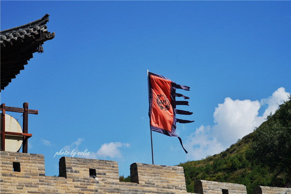 艰难苦恨繁霜鬓 潦倒新停浊酒杯代表什么动物？