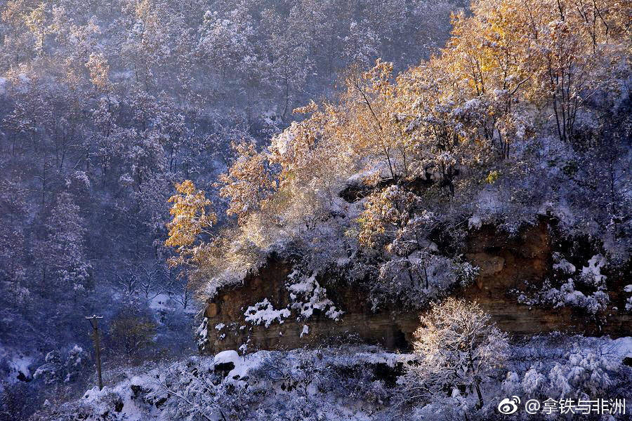 欲渡黄河冰塞川,将登太行雪满山。|冰塞|太行|黄河_新浪新闻