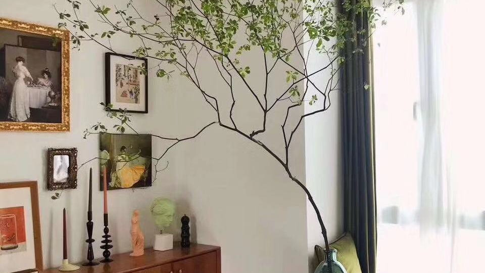 日本吊钟，植物中的爱马仕！用一枝吊钟给你一片诗意！|养护_新浪新闻