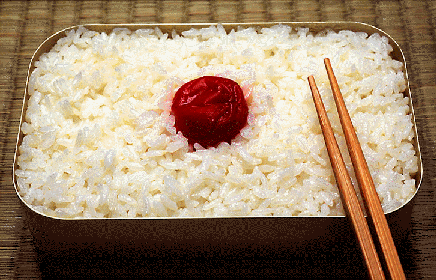 网友用美食做的各国国旗日本最有食欲关键是能管饱吃