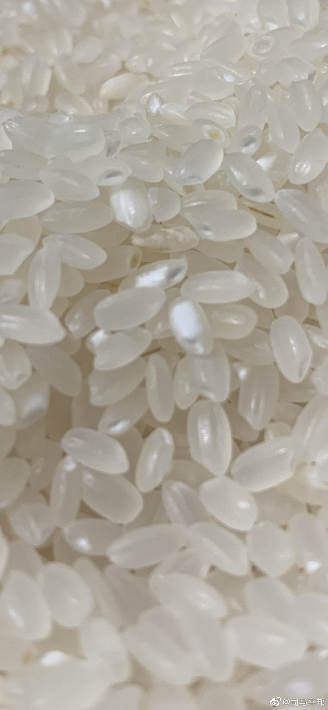 普及一下大米的知识新米中稍微发黄的是有留胚米或胚芽