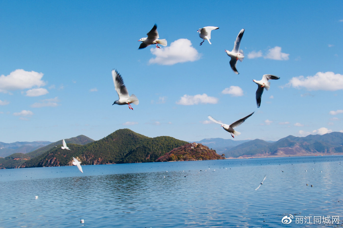 海鸥低旋,摩梭风情,氤氲群山…来冬日的泸沽湖感受"高原明珠"之美