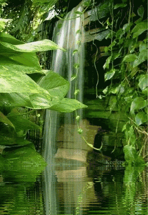 最美的山水风景动态图人间天堂