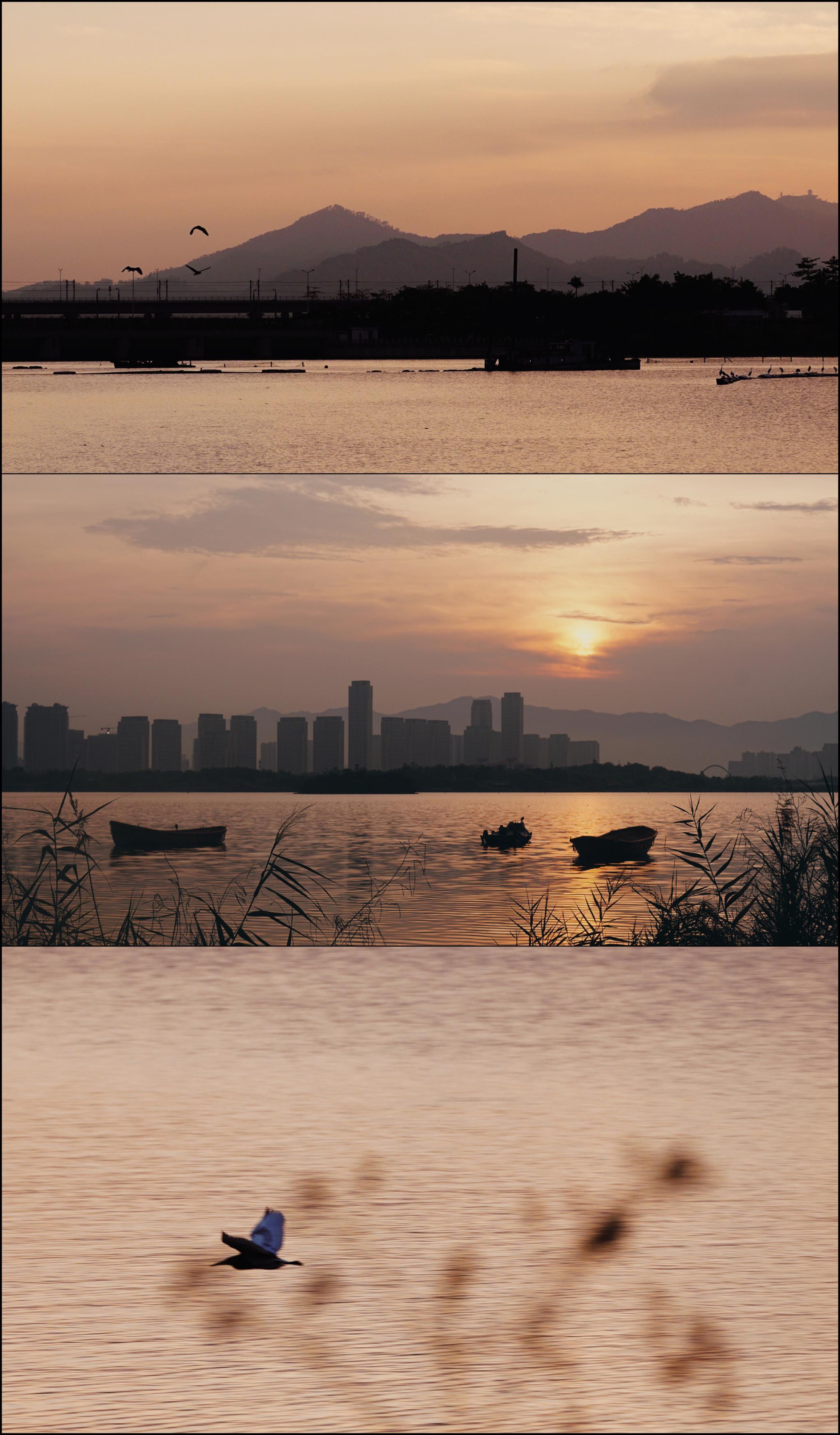 黄昏的傍晚,大概是一天中最浪漫的时段