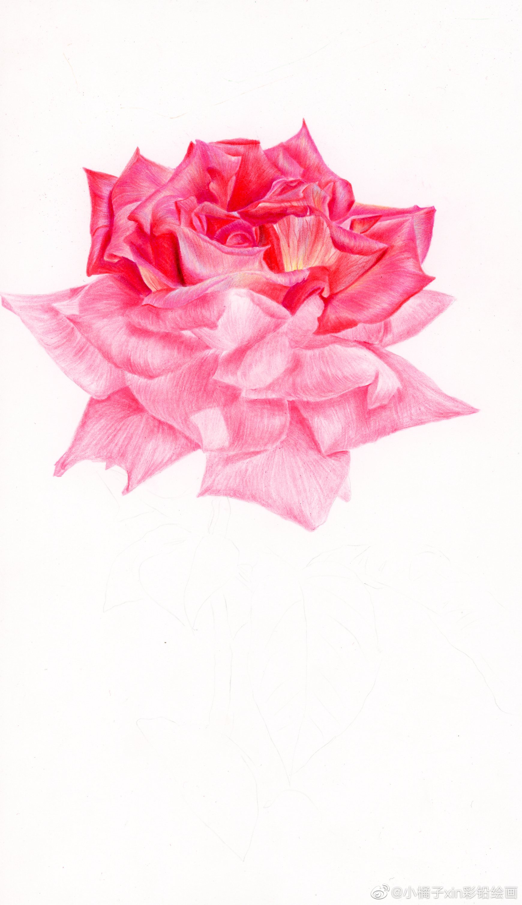 520手绘时光集我爱彩铅画