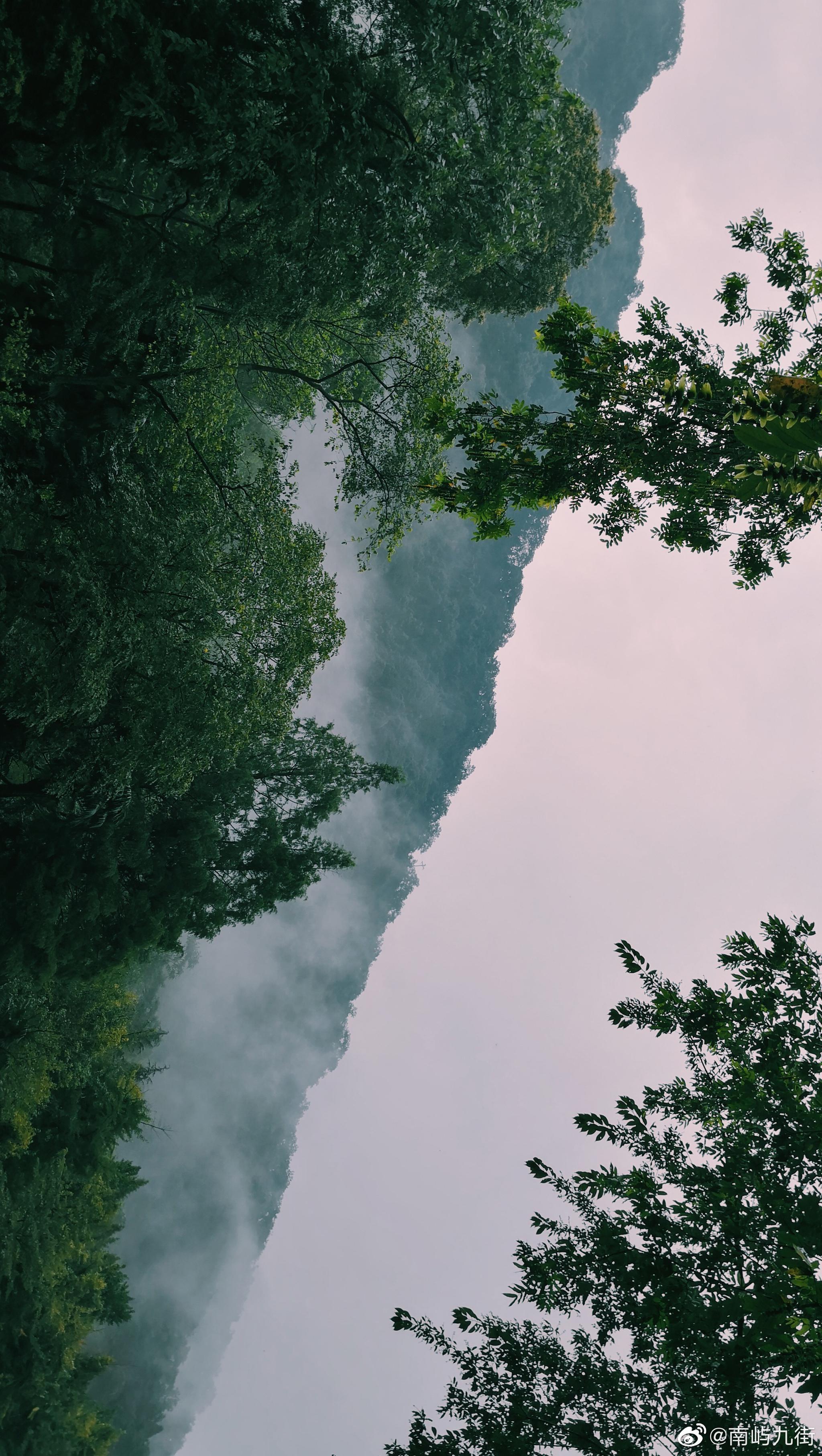 拍摄的照片 是生活中的装点