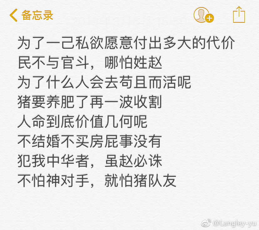 影子影评的视角
