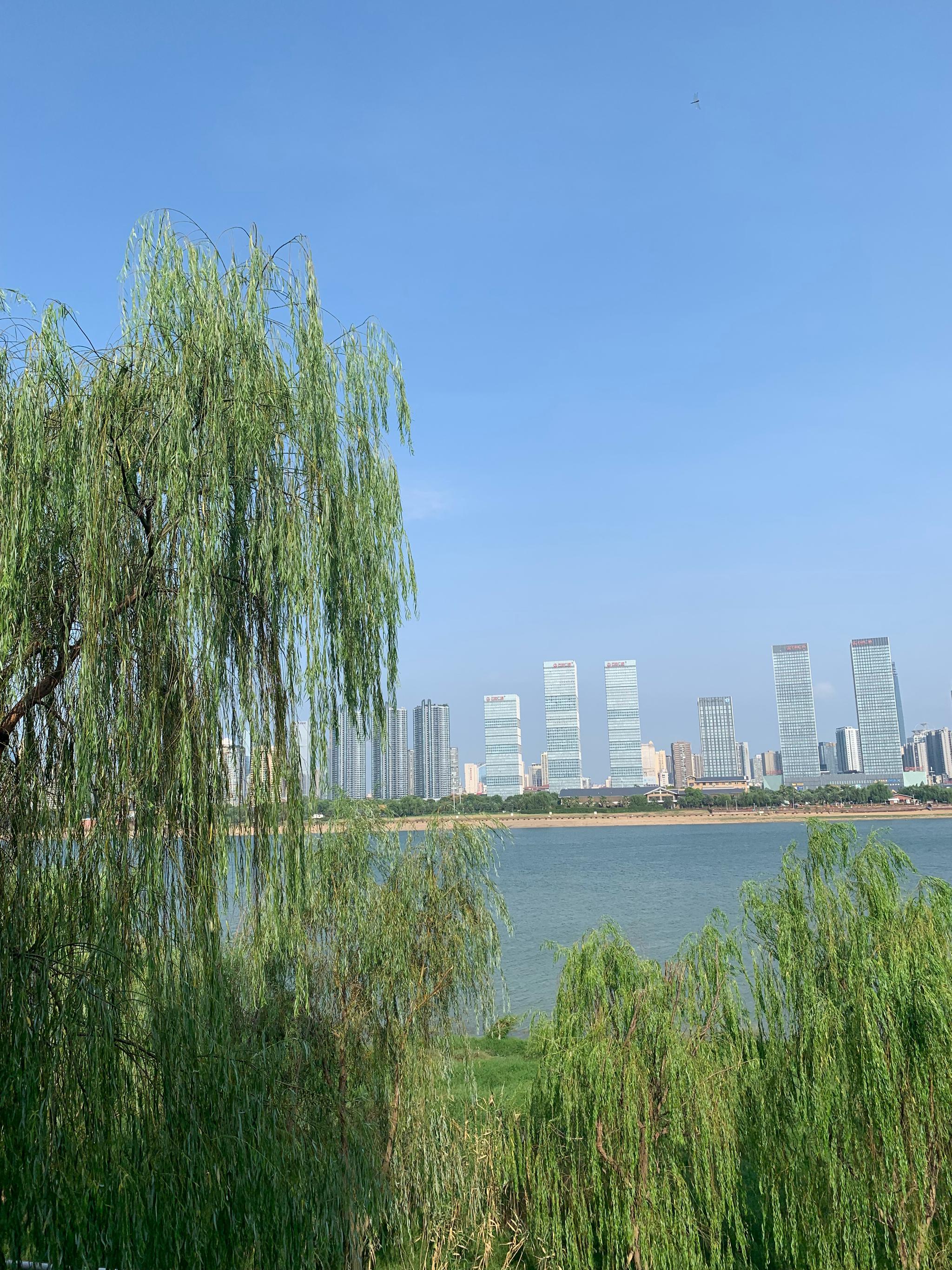 不需要滤镜的长沙湘江沿江风光带