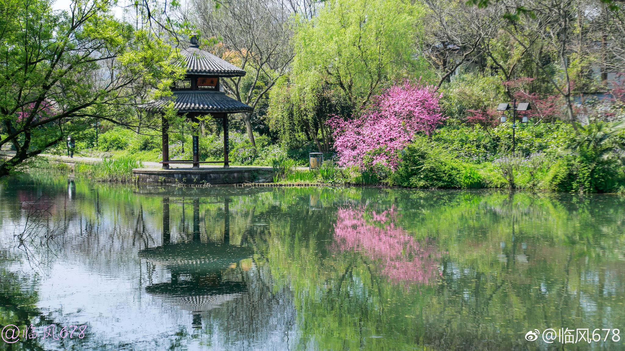 江南春色,杭州西湖茅家埠一带风景如画.