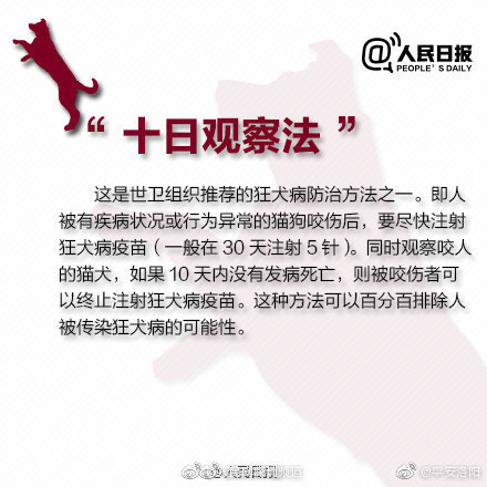 狂犬病可防不可治!科学对待