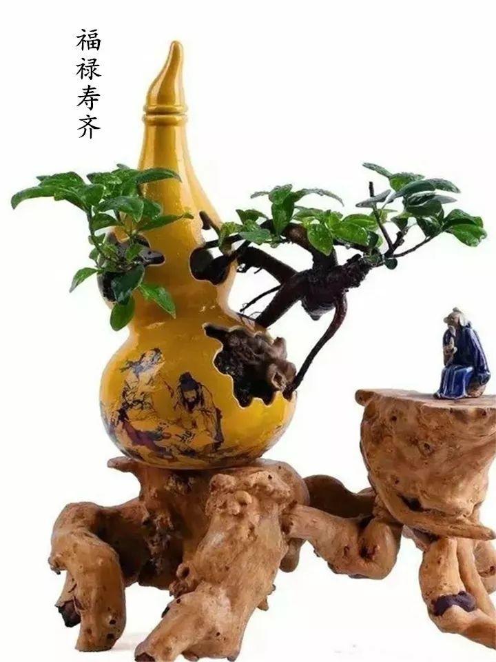 酒瓶|花盆|何文华_新浪新闻