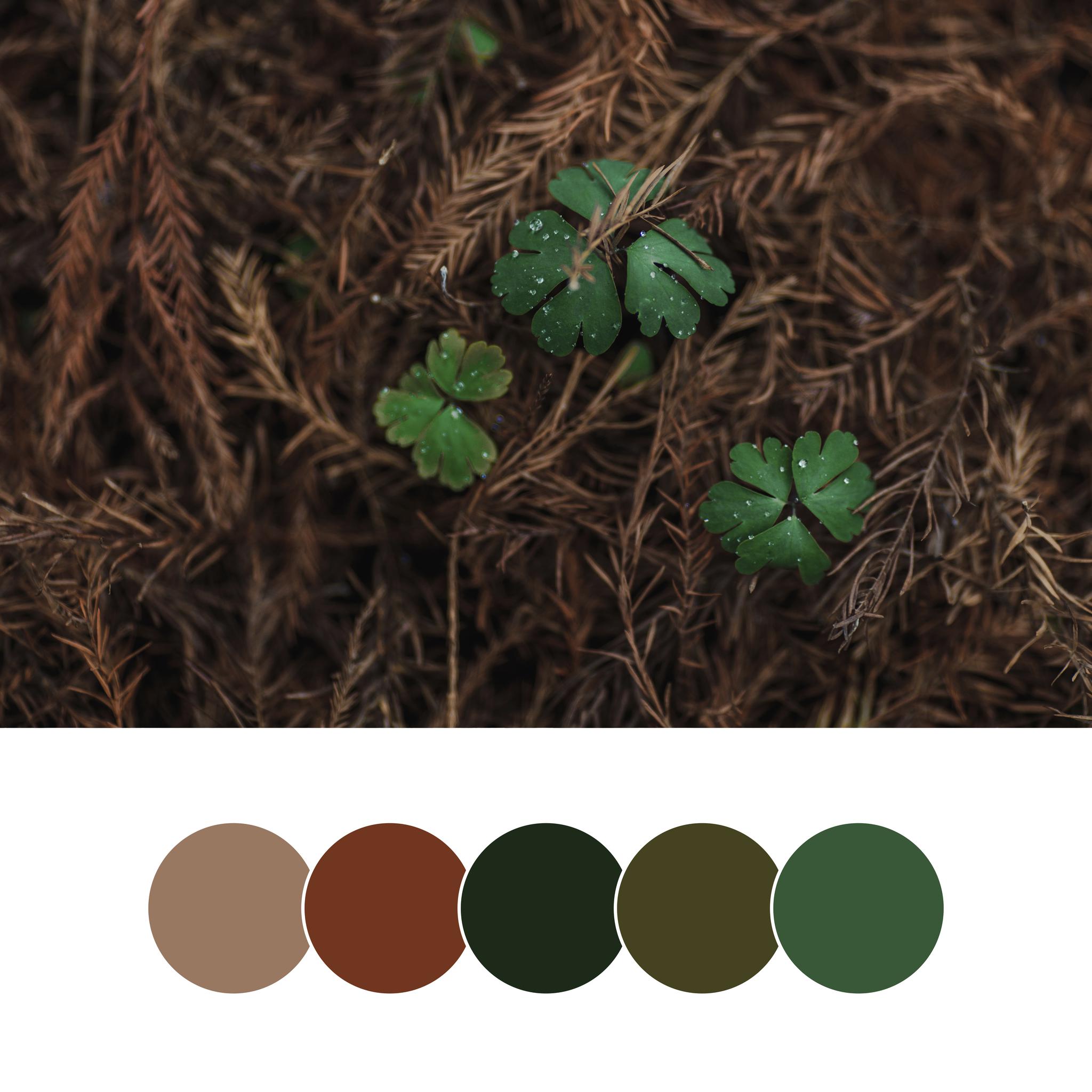 四季的配色/|四季_新浪新闻