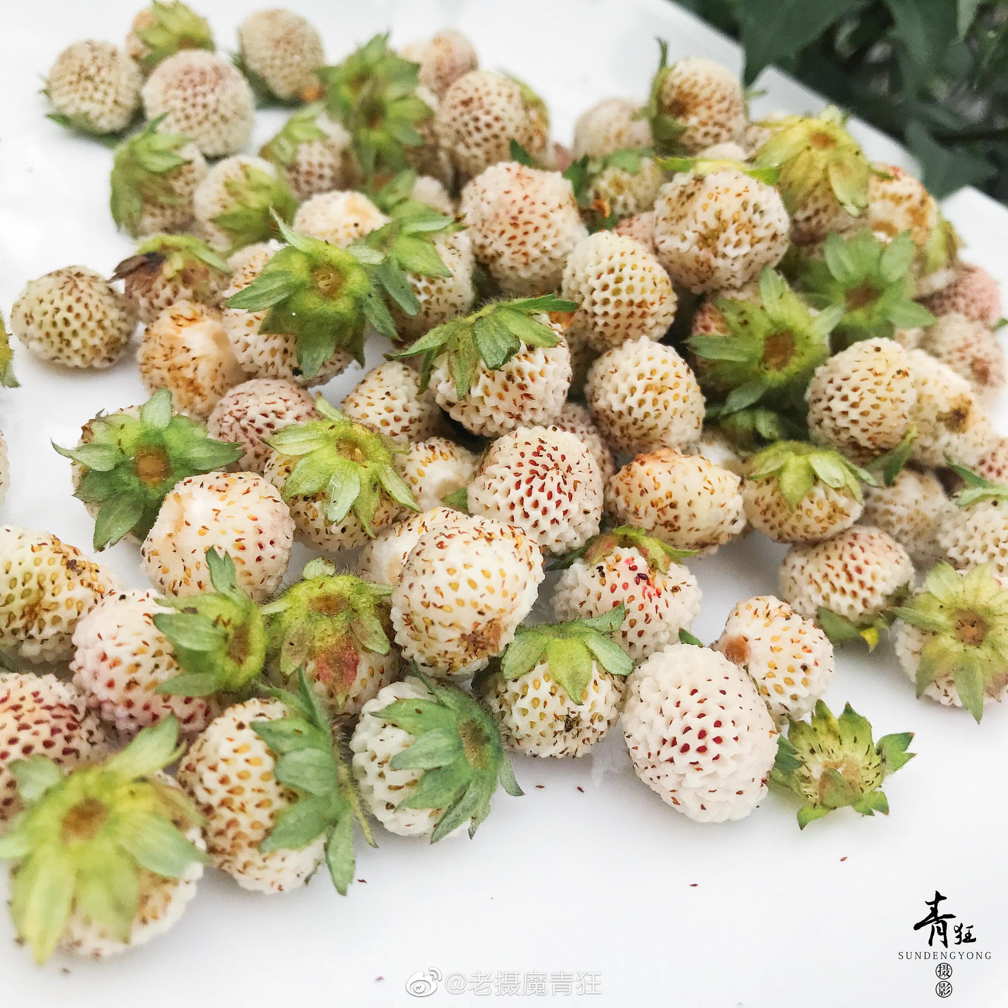 破解游戏推荐 乡村老师和大富豪游戏玩法攻略